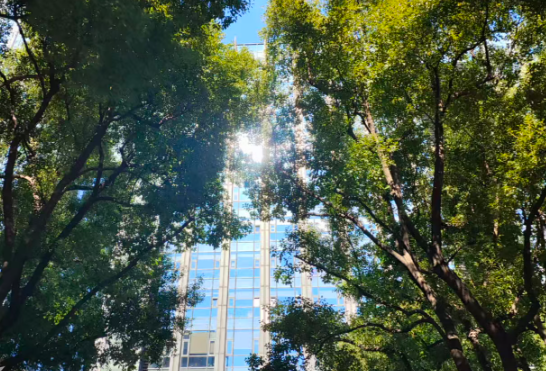 2026年青岛市大数据工作会议召开