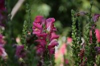 商务部消费促进司负责人谈2026年1-2月我国消费市场情况