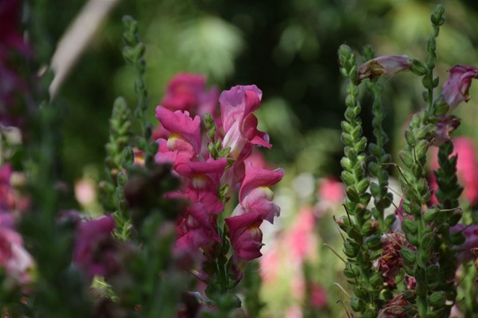 商务部消费促进司负责人谈2026年1-2月我国消费市场情况